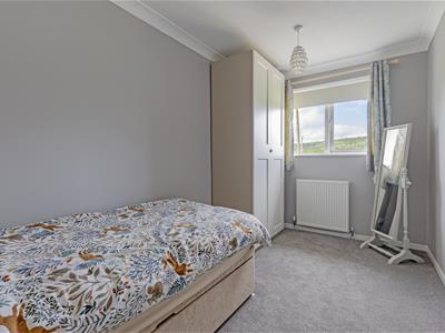 Picture 24